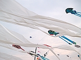Cervia 2011-166